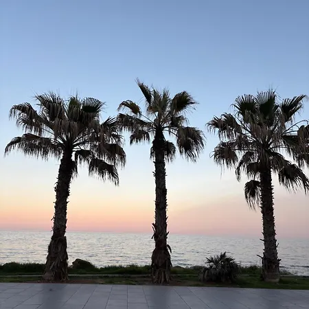 Sunny - Cozy With Terrace *